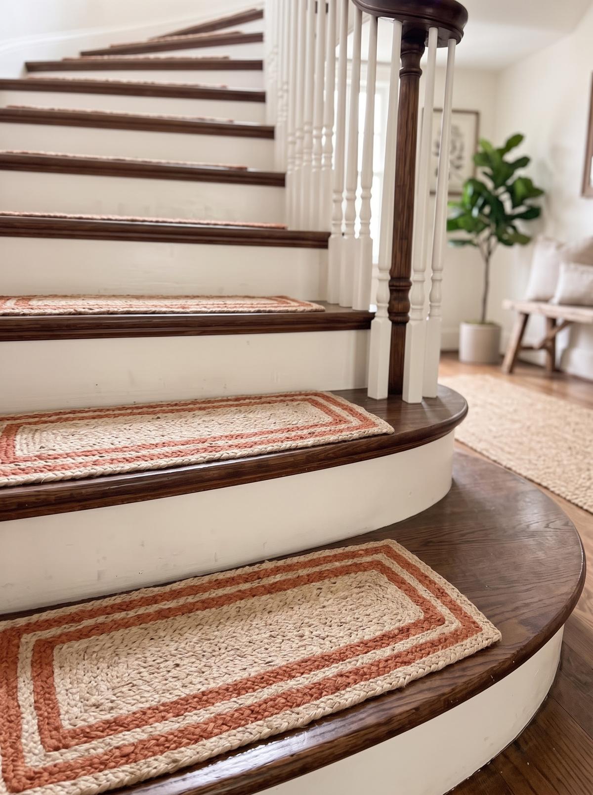 Braided Jute & Cotton Floor Rug, Terracotta Border, Boho Rustic Farmhouse Entryway Mat