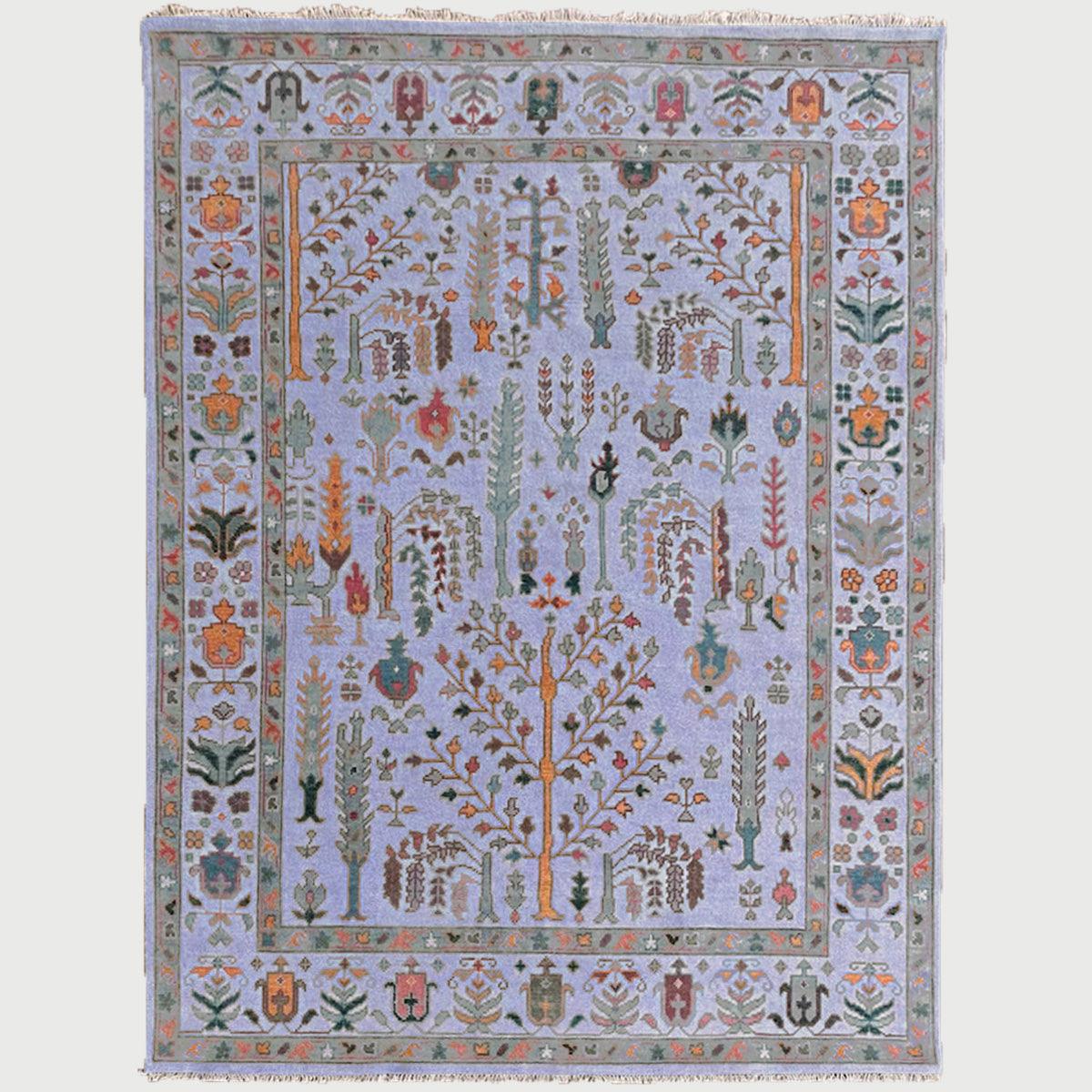 Hand Knotted Multicolor Bordered Farmhouse Area Rug - Indian Rug Store