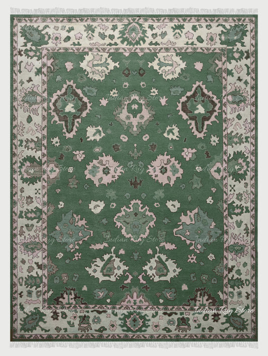 Multicolor Hand Knotted Classic Home Decor Area Rug